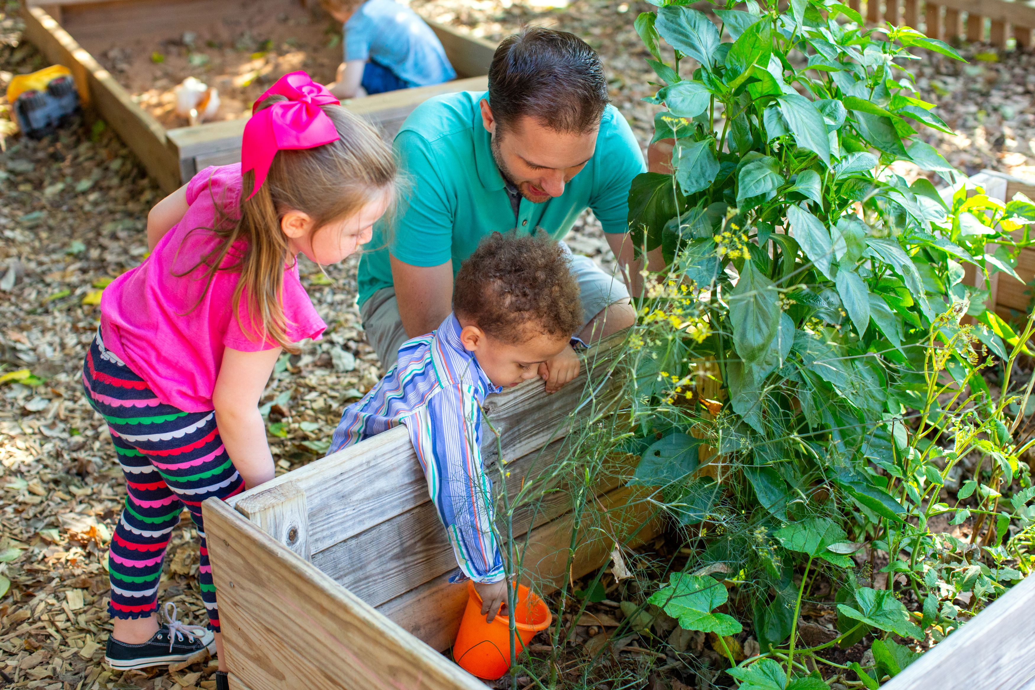 Outdoor Education New Garden Friends School